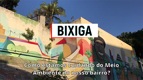 Bixiga na Década da Restauração